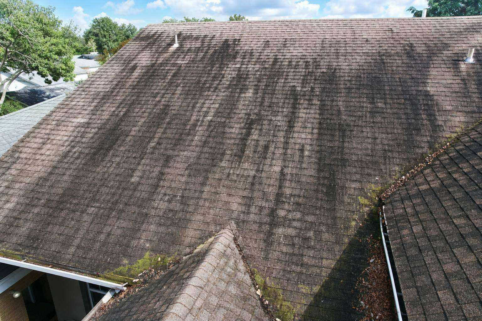 Before — Asphalt shingle roof algae cleaning